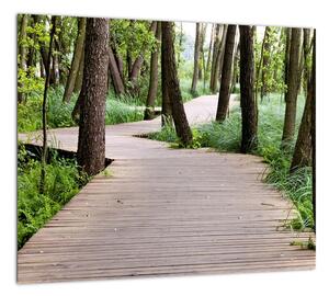 Cesta v lese - obraz (Obraz 30x30cm)