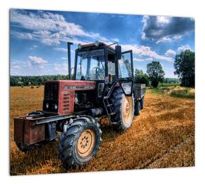 Obraz traktora v poli (Obraz 30x30cm)