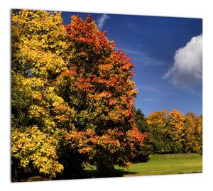 Jesenné stromy - moderný obraz (Obraz 30x30cm)