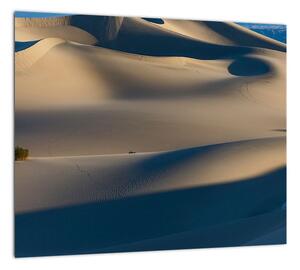 Púšť - obraz (Obraz 30x30cm)