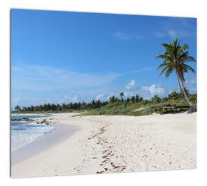 Exotická pláž - obraz (Obraz 30x30cm)