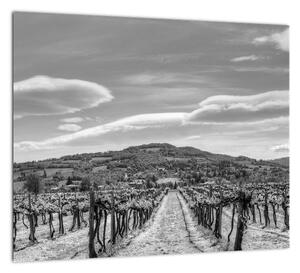 Obraz vínnej révy (Obraz 30x30cm)