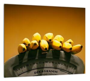 Banány na váhe - obraz na stenu (Obraz 30x30cm)
