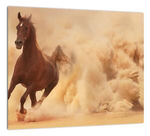 Cválajúci kôň - obraz (Obraz 30x30cm)