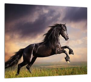 Kôň - obraz (Obraz 30x30cm)