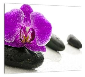 Orchidea - obraz (Obraz 30x30cm)