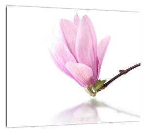 Kvet - obraz (Obraz 30x30cm)