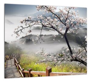 Sakura - obraz (Obraz 30x30cm)