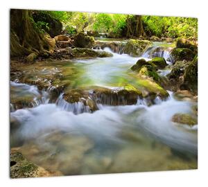 Rieka v lese - obraz (Obraz 30x30cm)