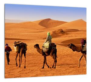 Ťavy v púšti - obraz (Obraz 30x30cm)