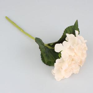Umelá hortenzia biela, EW204