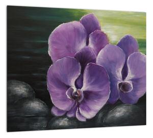 Obraz kvetov orchidey (Obraz 30x30cm)