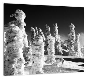 Obraz - zimné hory (Obraz 30x30cm)