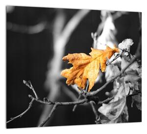 Obraz - prichádzajúce jeseň (Obraz 30x30cm)