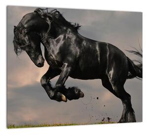Čierny kôň, obraz (Obraz 30x30cm)