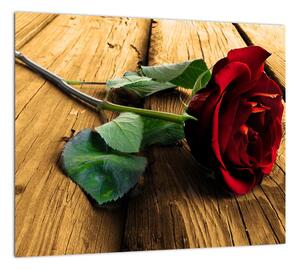Ležiaci ruža - obraz (Obraz 30x30cm)