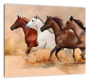 Obraz kôň (Obraz 30x30cm)