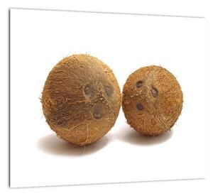 Kokosový orech, obraz (Obraz 30x30cm)