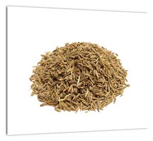 Pšenica, obraz (Obraz 30x30cm)
