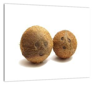 Kokosový orech, obraz (Obraz 30x30cm)