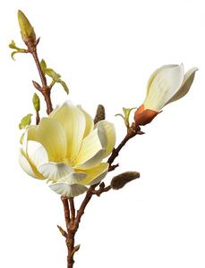 Dekorácia umelá vetvička Magnólie so žltými kvetmi - 17*11*70 cm - Clayre & Eef