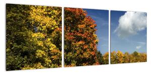 Jesenná krajina, obraz (Obraz 90x30cm)