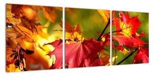 Jesenné lístie, obraz (Obraz 90x30cm)