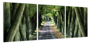 Údolie stromov, obrazy (Obraz 90x30cm)