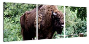 Obraz s americkým bizónom (Obraz 90x30cm)