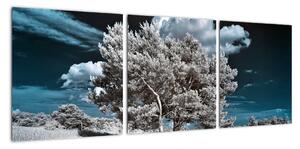Strom v zime, obraz na stenu (Obraz 90x30cm)