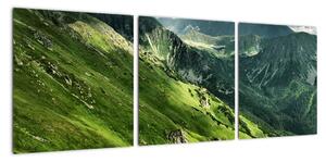 Pohorie hôr - obraz na stenu (Obraz 90x30cm)