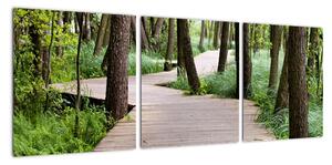 Cesta v lese - obraz (Obraz 90x30cm)