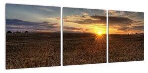 Západ slnka na poli - obraz na stenu (Obraz 90x30cm)