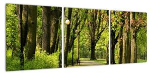 Cesta v parku - obraz (Obraz 90x30cm)