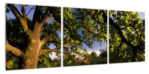 Obrázok stromu - moderné obrazy (Obraz 90x30cm)
