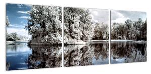 Zimná krajina - obrazy (Obraz 90x30cm)