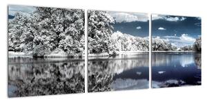 Zimná krajina - obraz (Obraz 90x30cm)