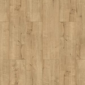 Evolution Home WR 73016 Dub Brighton 2,47 m²
