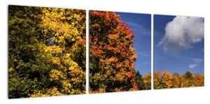 Jesenné stromy - moderný obraz (Obraz 90x30cm)