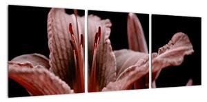 Detail kvety - obraz (Obraz 90x30cm)