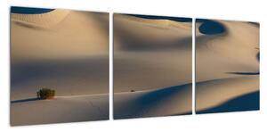 Púšť - obraz (Obraz 90x30cm)