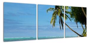 Fotka pláže - obraz (Obraz 90x30cm)
