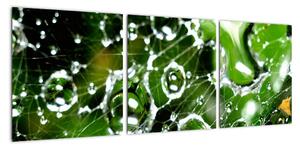 Kvapky vody - obrazy (Obraz 90x30cm)