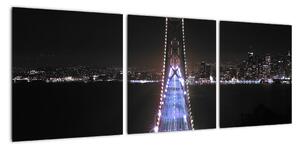 Nočný most - obraz (Obraz 90x30cm)
