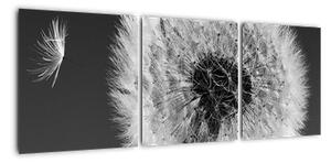 Odkvitnutá púpava - obraz kvetín (Obraz 90x30cm)