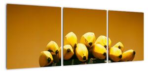 Banány na váhe - obraz na stenu (Obraz 90x30cm)