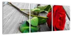 Ruža červená - obraz (Obraz 90x30cm)