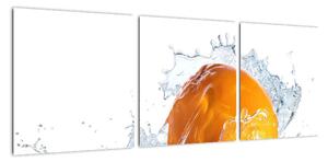 Obraz pomaranče (Obraz 90x30cm)