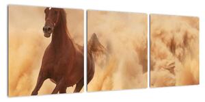Cválajúci kôň - obraz (Obraz 90x30cm)