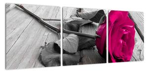 Ruže fialová - obraz (Obraz 90x30cm)